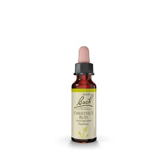 Bach remedy chestnut bud 10 ml